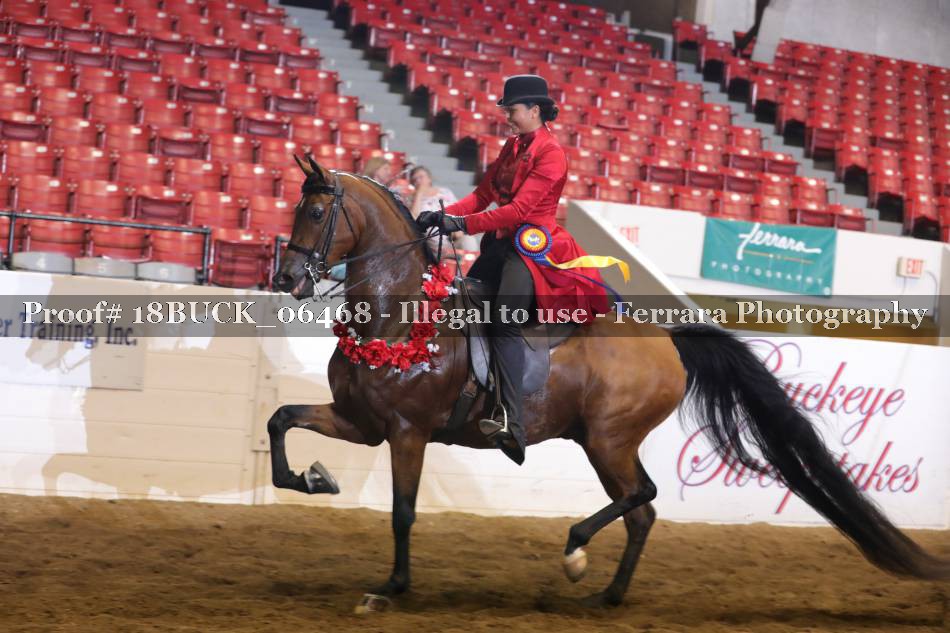 Proof 18BUCK_06468