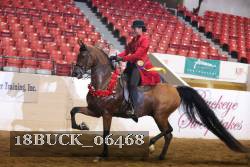 18BUCK_06468 proof