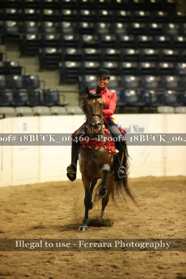 Proof 18BUCK_06469