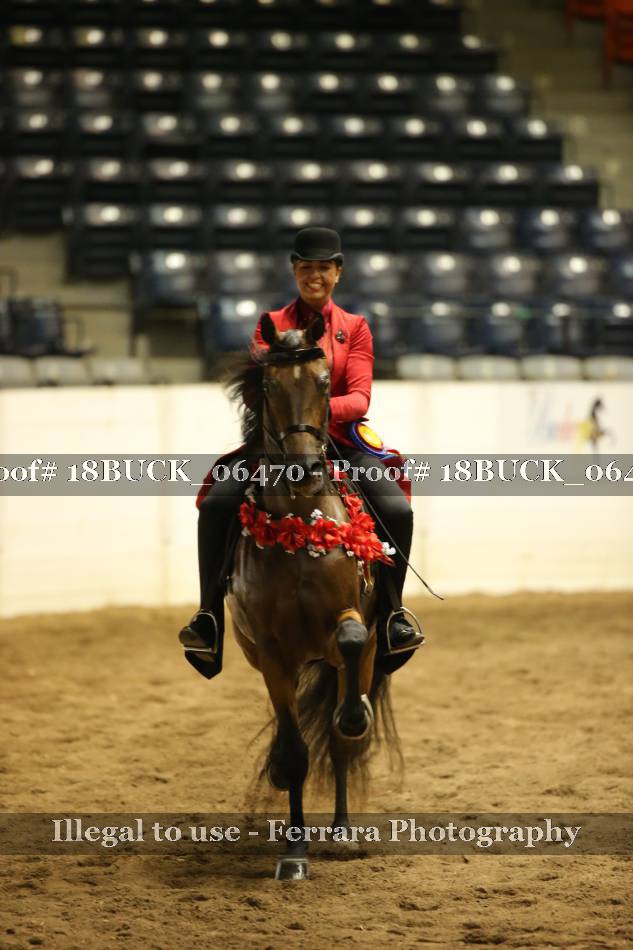 Proof 18BUCK_06470