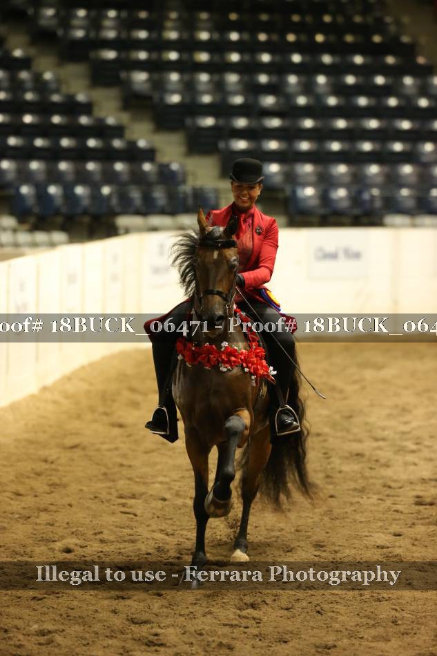Proof 18BUCK_06471