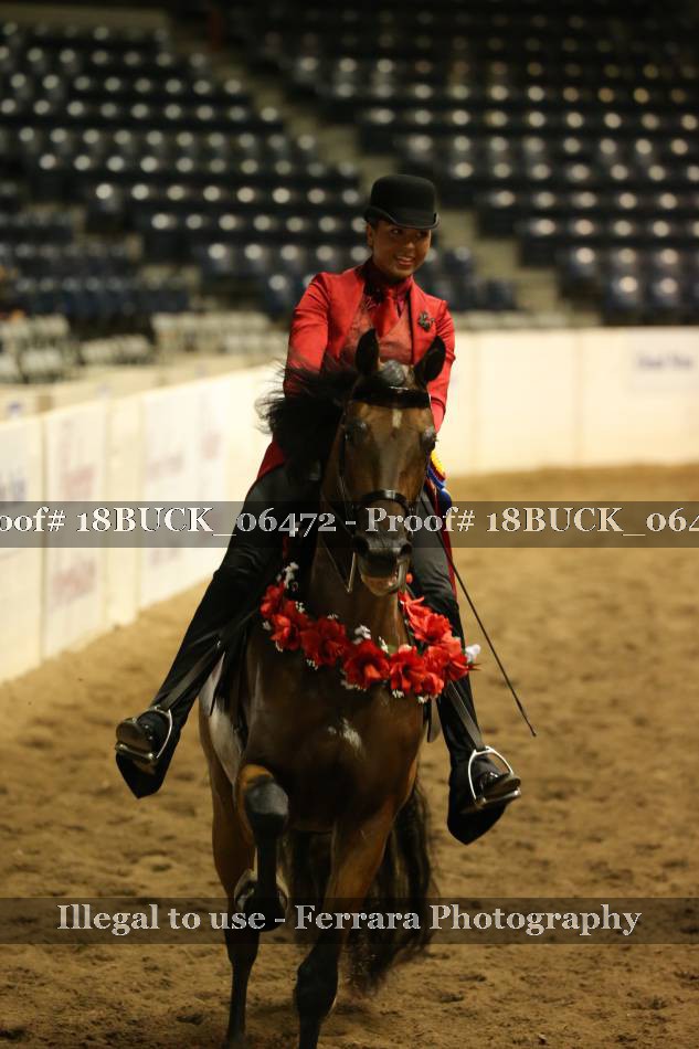 Proof 18BUCK_06472