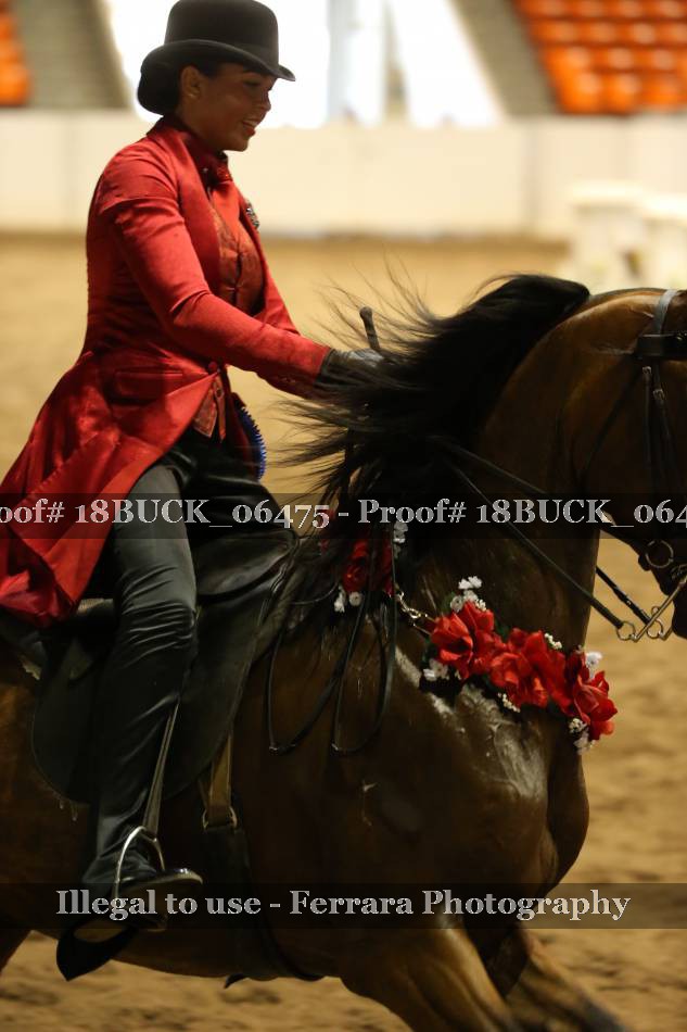 Proof 18BUCK_06475