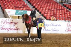 18BUCK_06478 proof