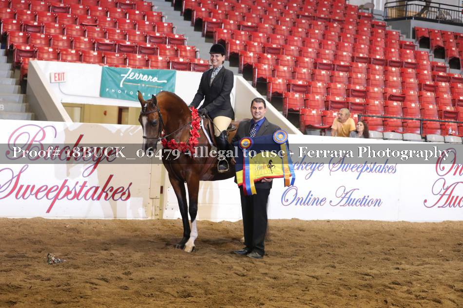Proof 18BUCK_06479