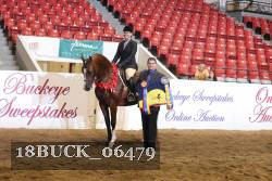 18BUCK_06479 proof