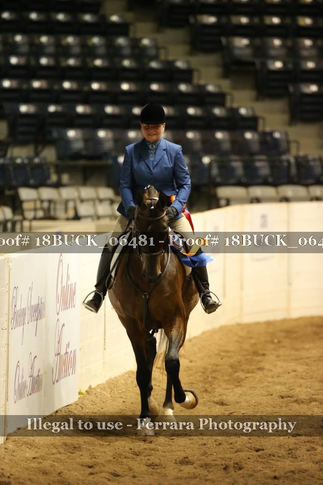 Proof 18BUCK_06481