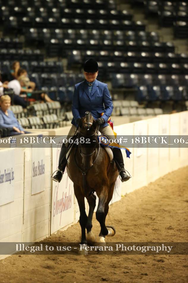 Proof 18BUCK_06482