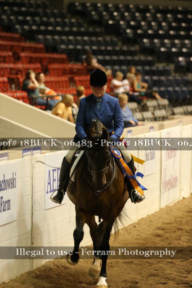 Proof 18BUCK_06483