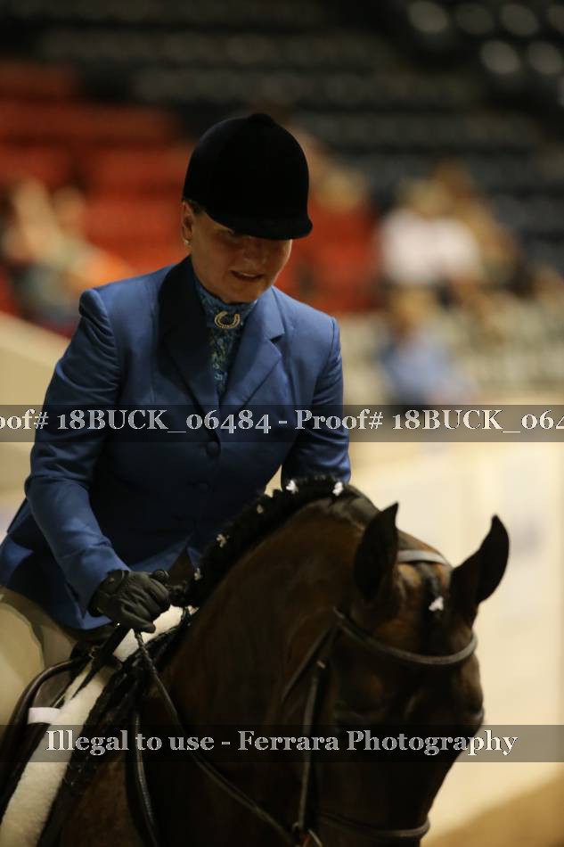 Proof 18BUCK_06484