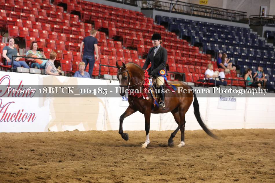Proof 18BUCK_06485