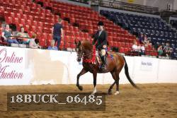 18BUCK_06485 proof