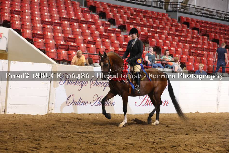 Proof 18BUCK_06486