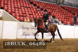 18BUCK_06486 proof