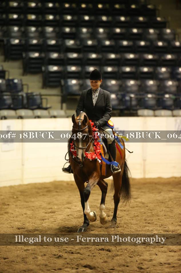 Proof 18BUCK_06487