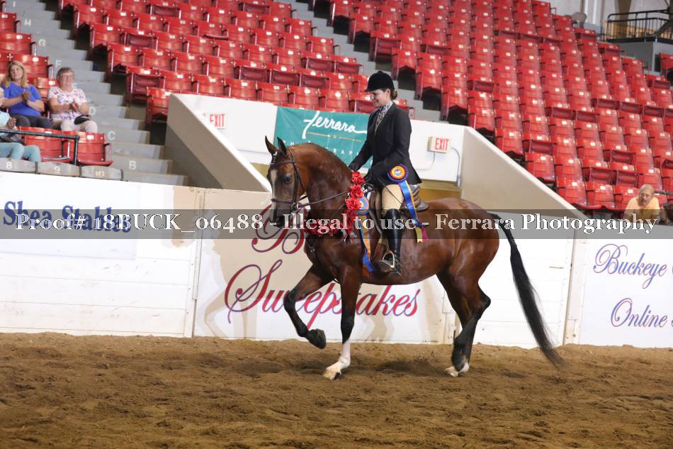 Proof 18BUCK_06488