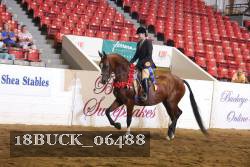 18BUCK_06488 proof
