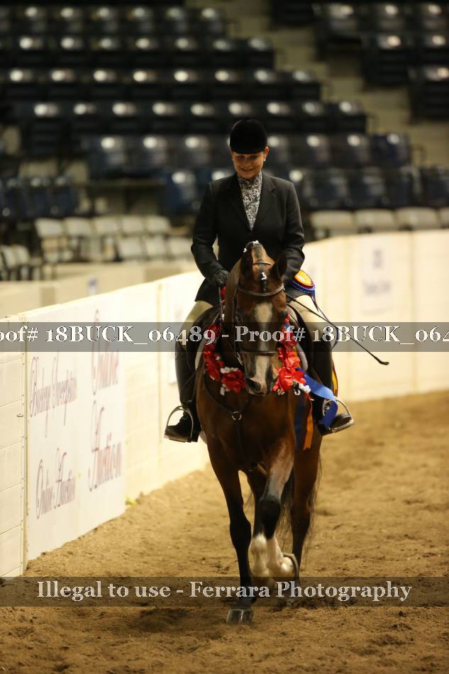 Proof 18BUCK_06489