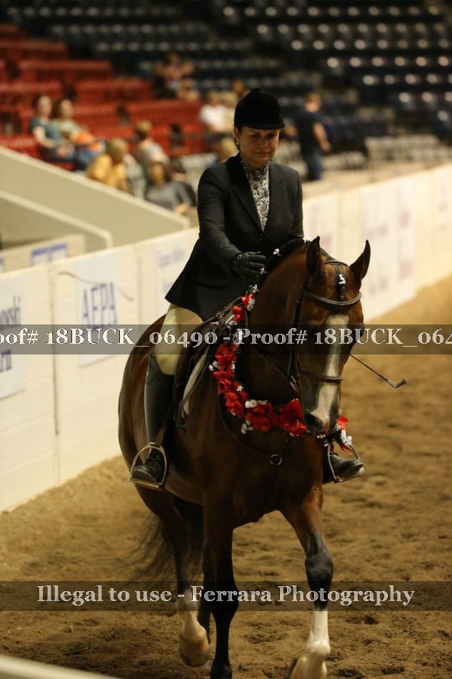 Proof 18BUCK_06490