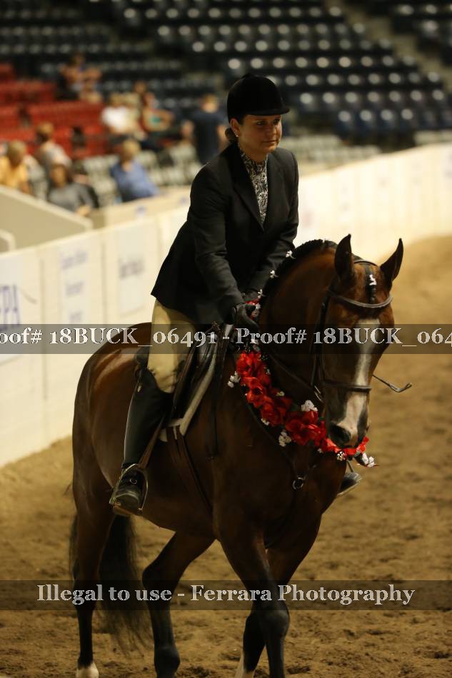 Proof 18BUCK_06491