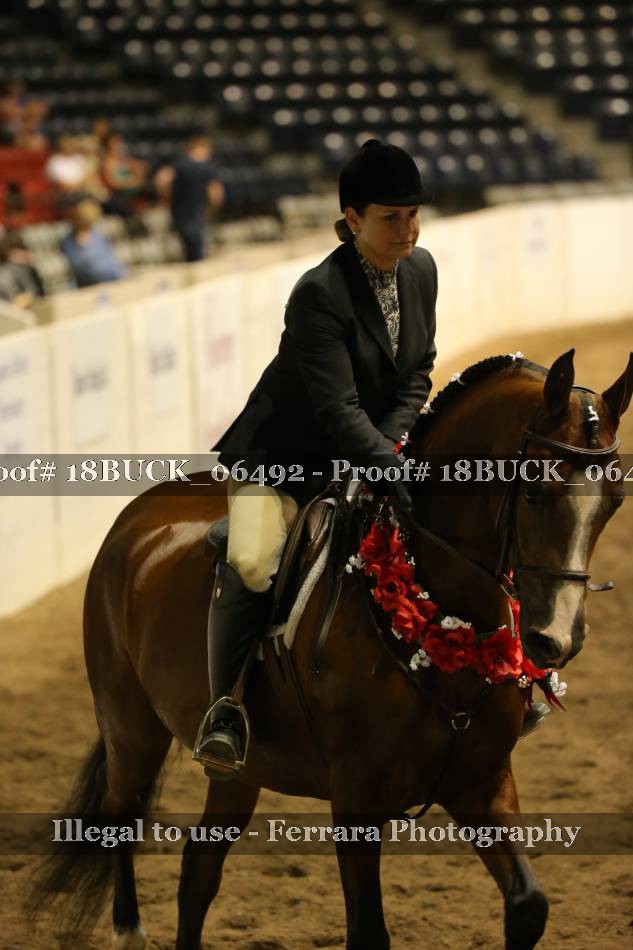 Proof 18BUCK_06492