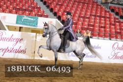 18BUCK_06493 proof