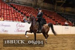 18BUCK_06494 proof