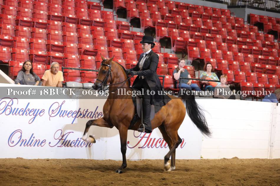 Proof 18BUCK_06495