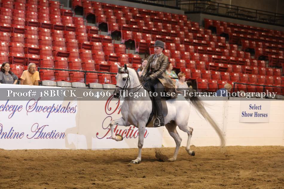 Proof 18BUCK_06496