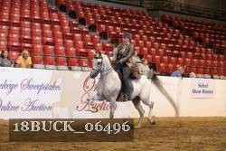 18BUCK_06496 proof