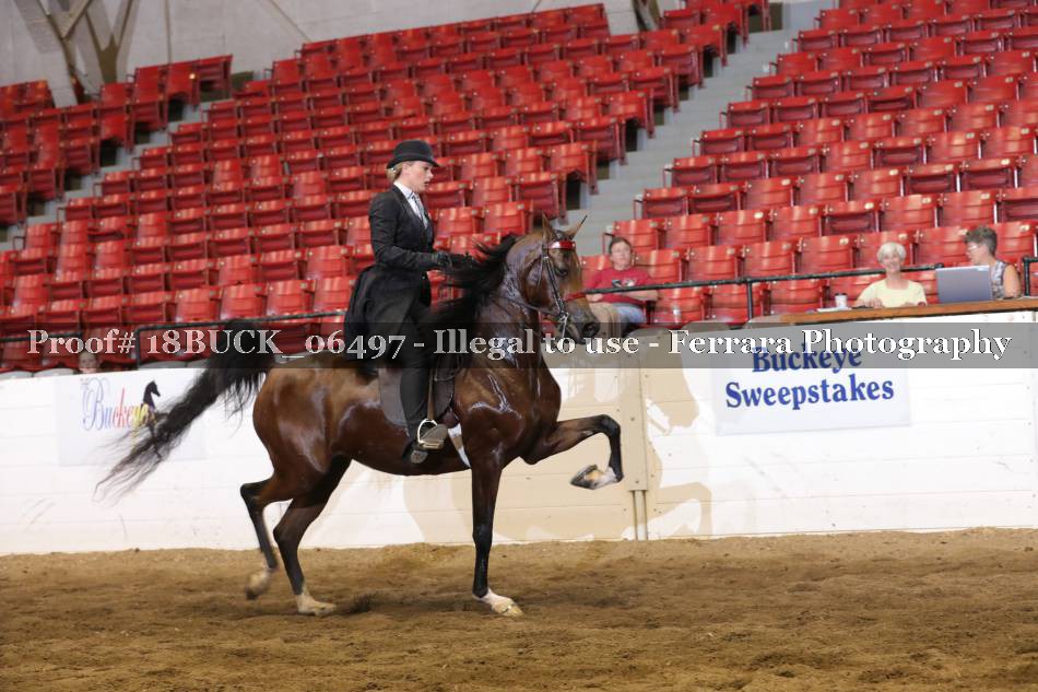Proof 18BUCK_06497