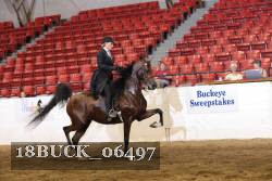 18BUCK_06497 proof