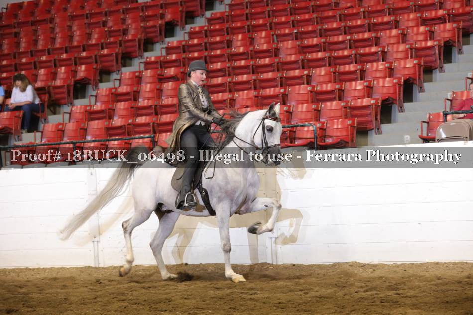 Proof 18BUCK_06498