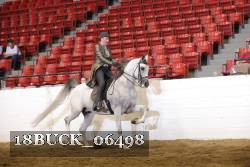 18BUCK_06498 proof