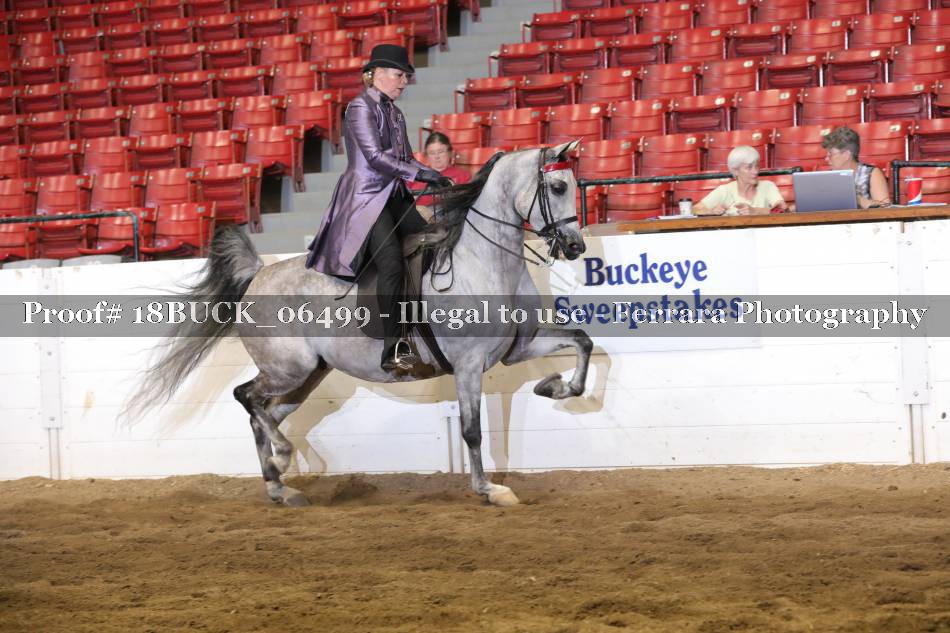 Proof 18BUCK_06499