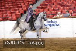 18BUCK_06499 proof