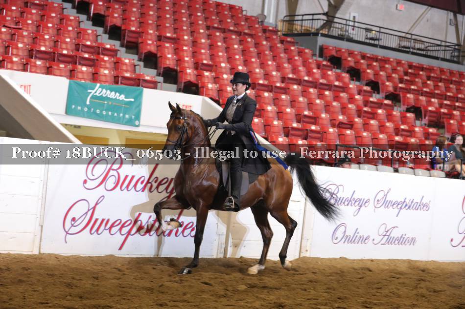 Proof 18BUCK_06503