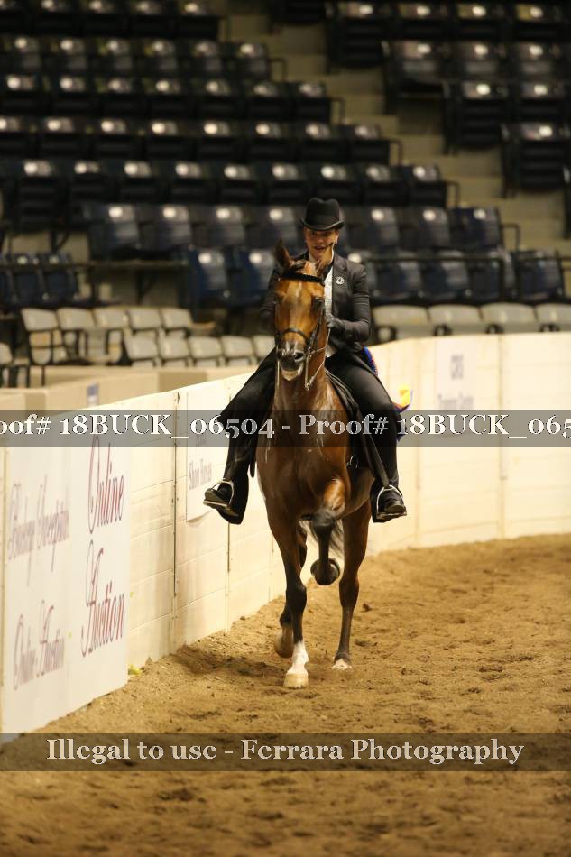 Proof 18BUCK_06504