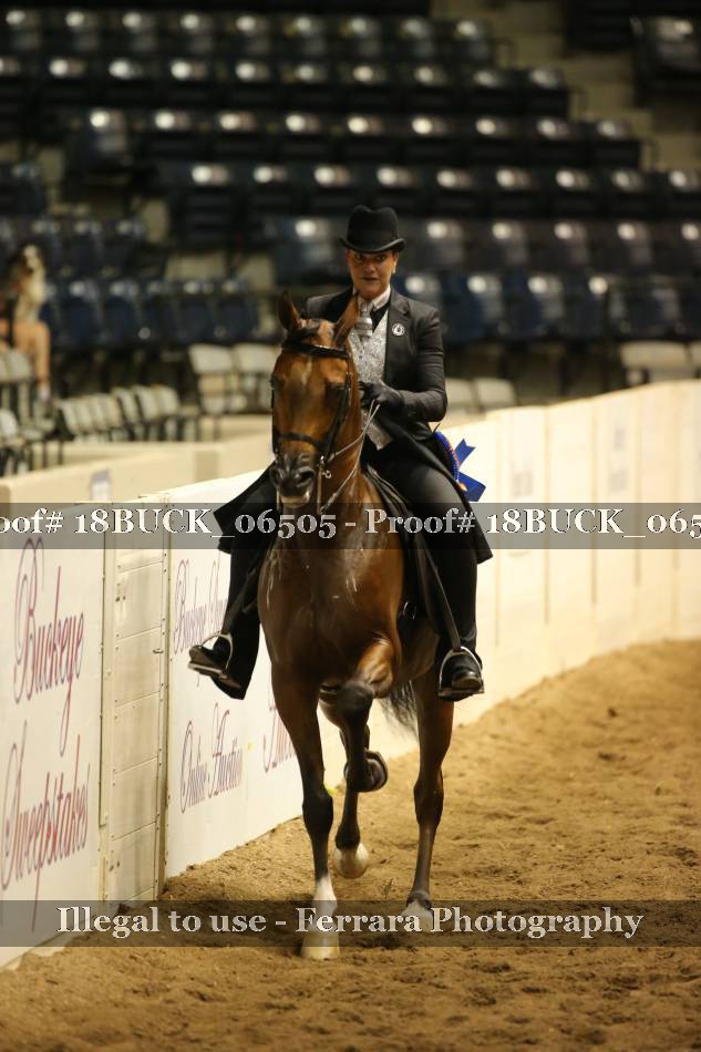 Proof 18BUCK_06505