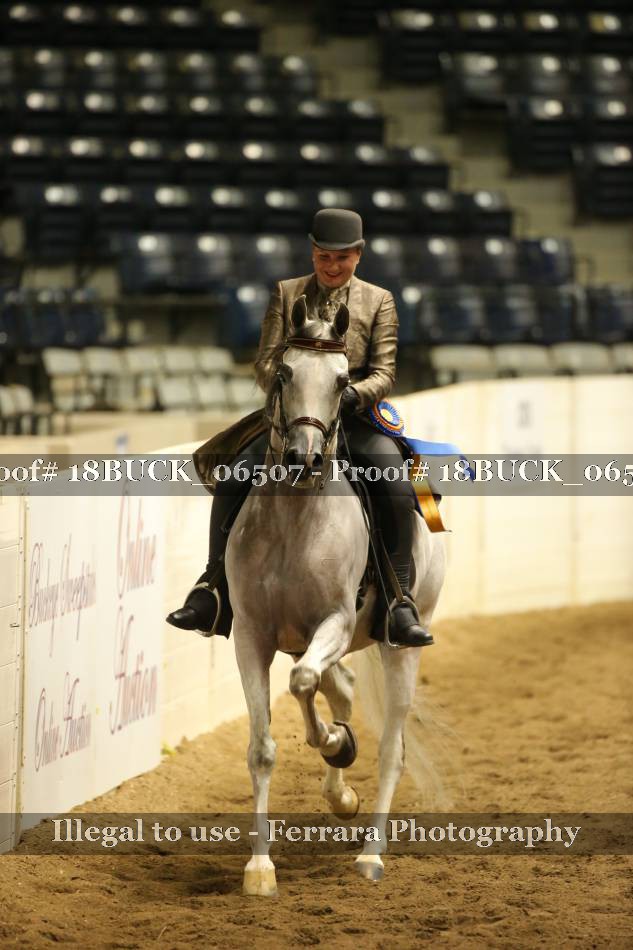 Proof 18BUCK_06507