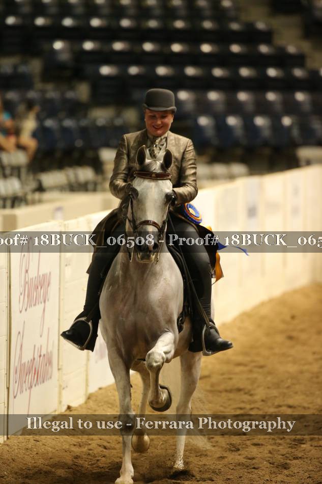 Proof 18BUCK_06508
