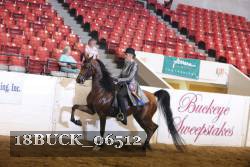 18BUCK_06512 proof