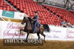18BUCK_06514 proof