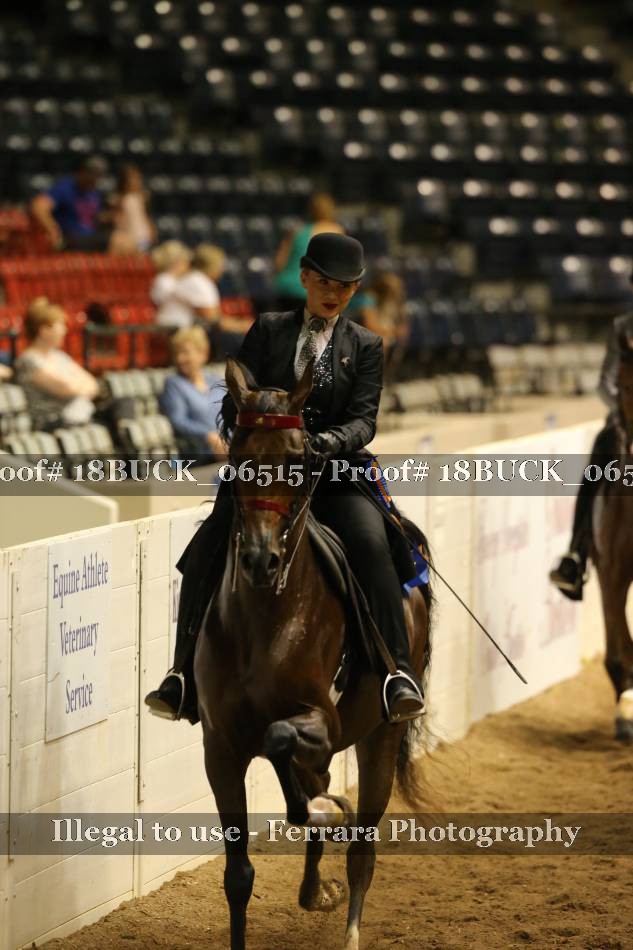 Proof 18BUCK_06515