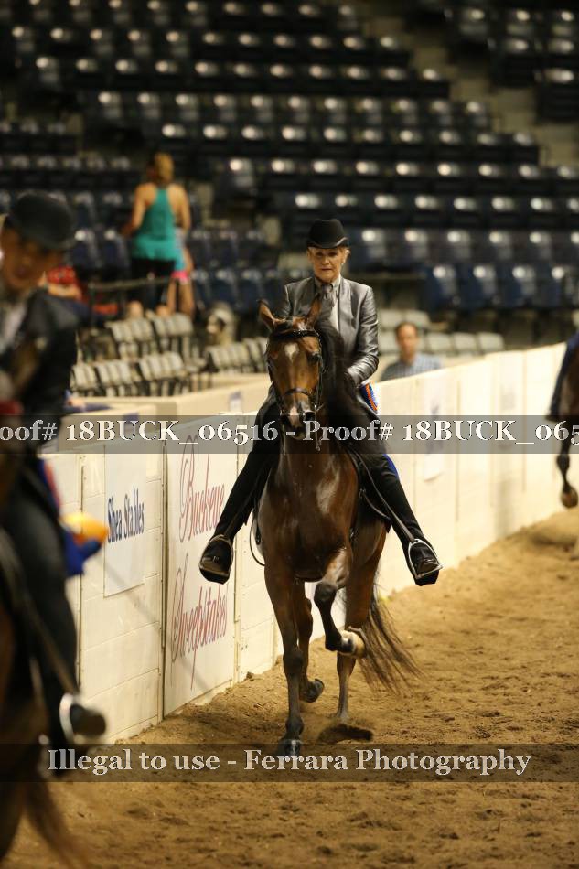 Proof 18BUCK_06516