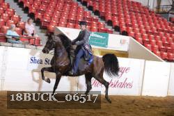 18BUCK_06517 proof