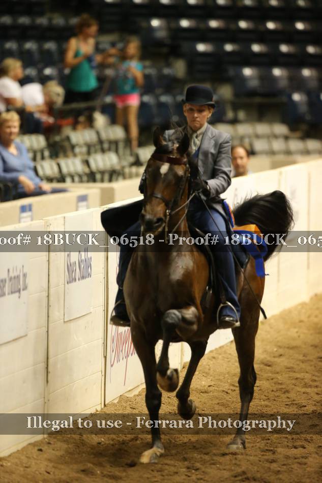 Proof 18BUCK_06518