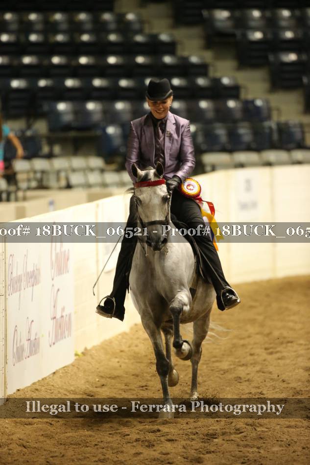 Proof 18BUCK_06521
