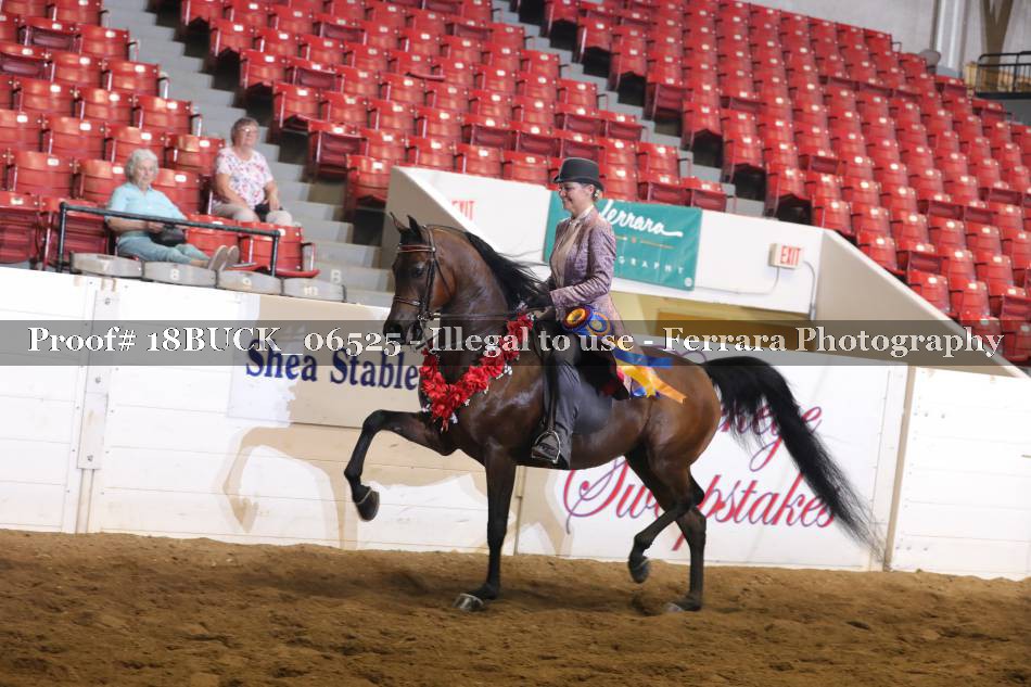 Proof 18BUCK_06525