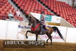 18BUCK_06525 proof